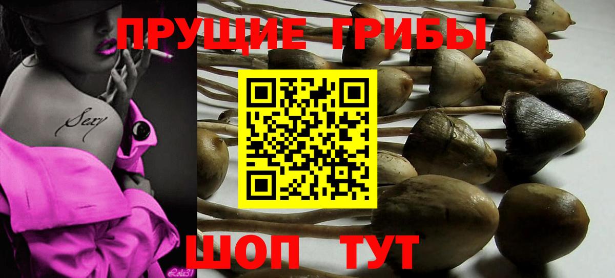 Галлюциногенные грибы ЛСД  Псилоцибиновые грибы MAGIC MUSHROOMS  Ишимбай  Вход с VPN 